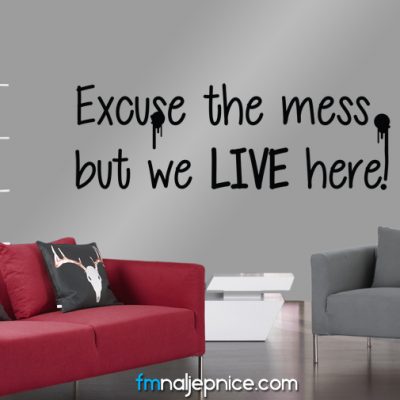 Zidna naljepnica – Excuse the mess
