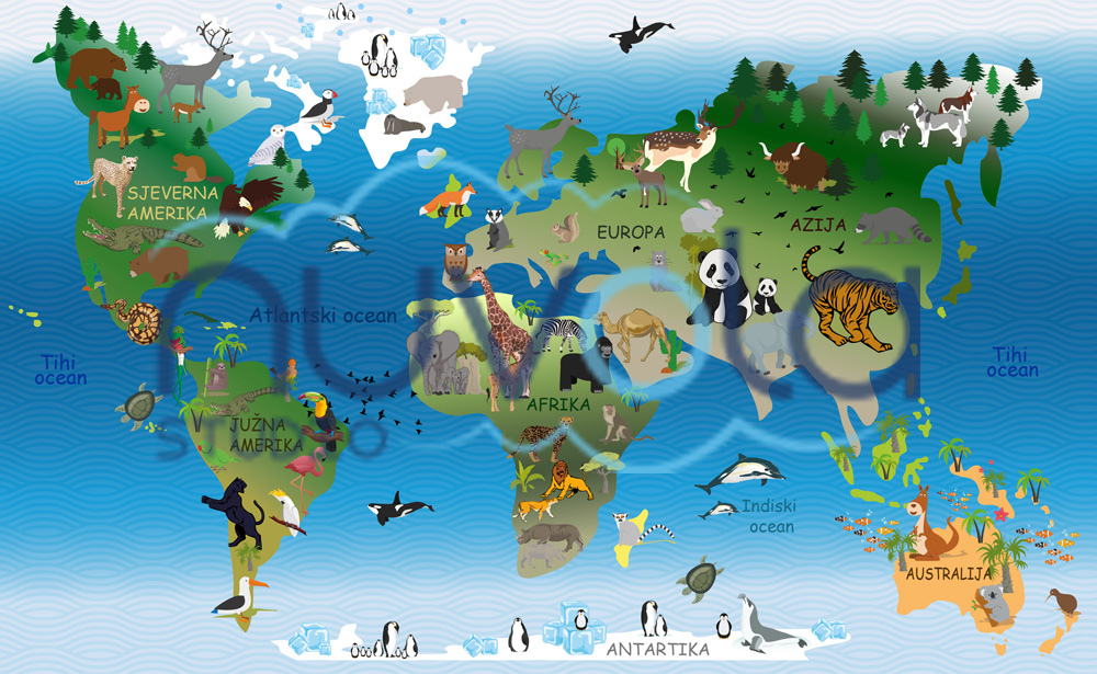 karta svijeta gdje kupiti Karta svijeta za djecu, naljepnica za zid karta svijeta gdje kupiti